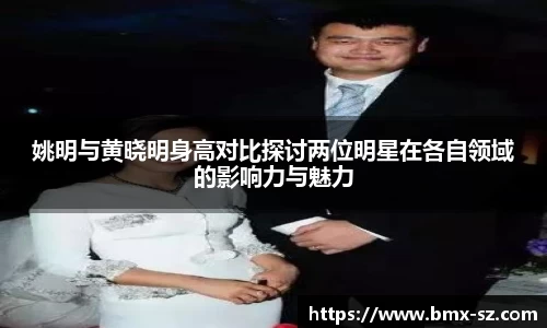 姚明与黄晓明身高对比探讨两位明星在各自领域的影响力与魅力